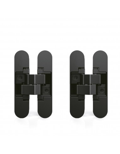 Charnière invisible pour portes, charge de 40 kg, ouverture de 180º, zamak, noir, 2 un. 