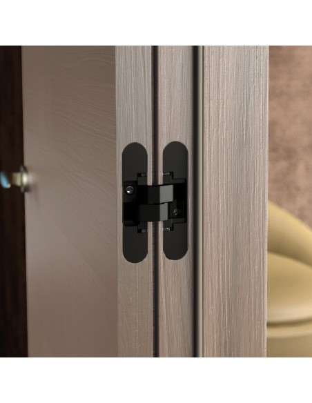 Charnière invisible pour portes, charge de 40 kg, ouverture de 180º, zamak, noir, 2 un. 